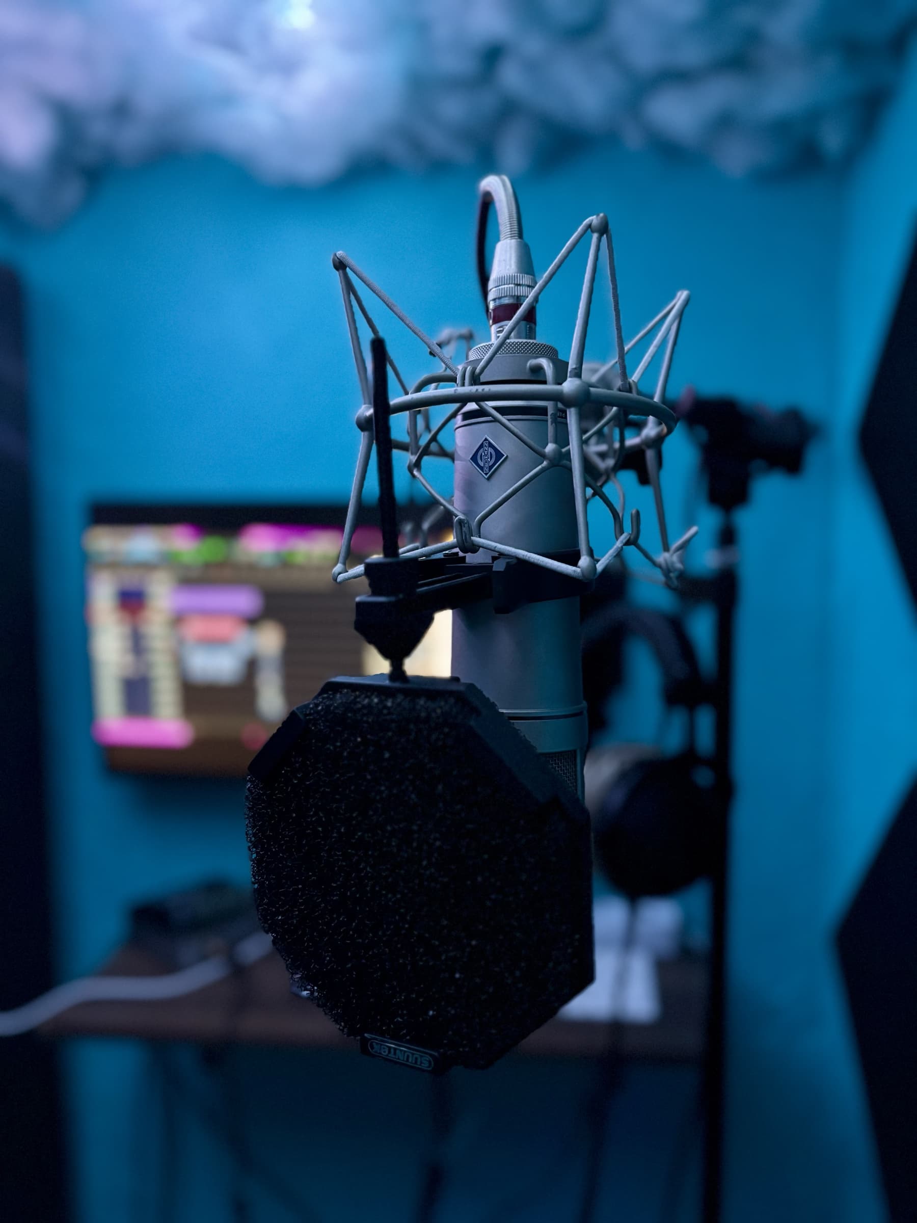 Neumann microphone in the recording room